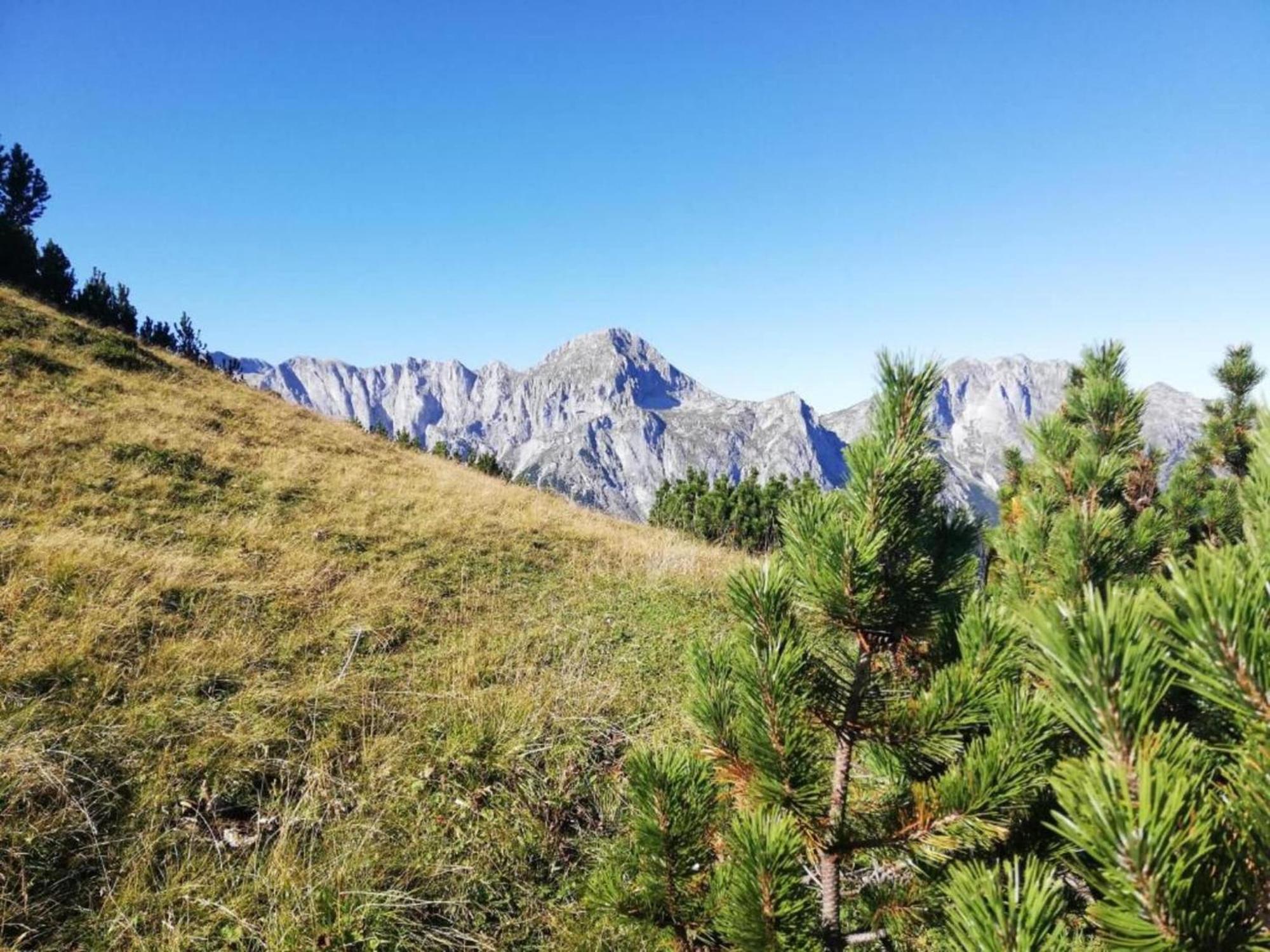 Spacious Apartment Near Ski Area In Mittersill Esterno foto