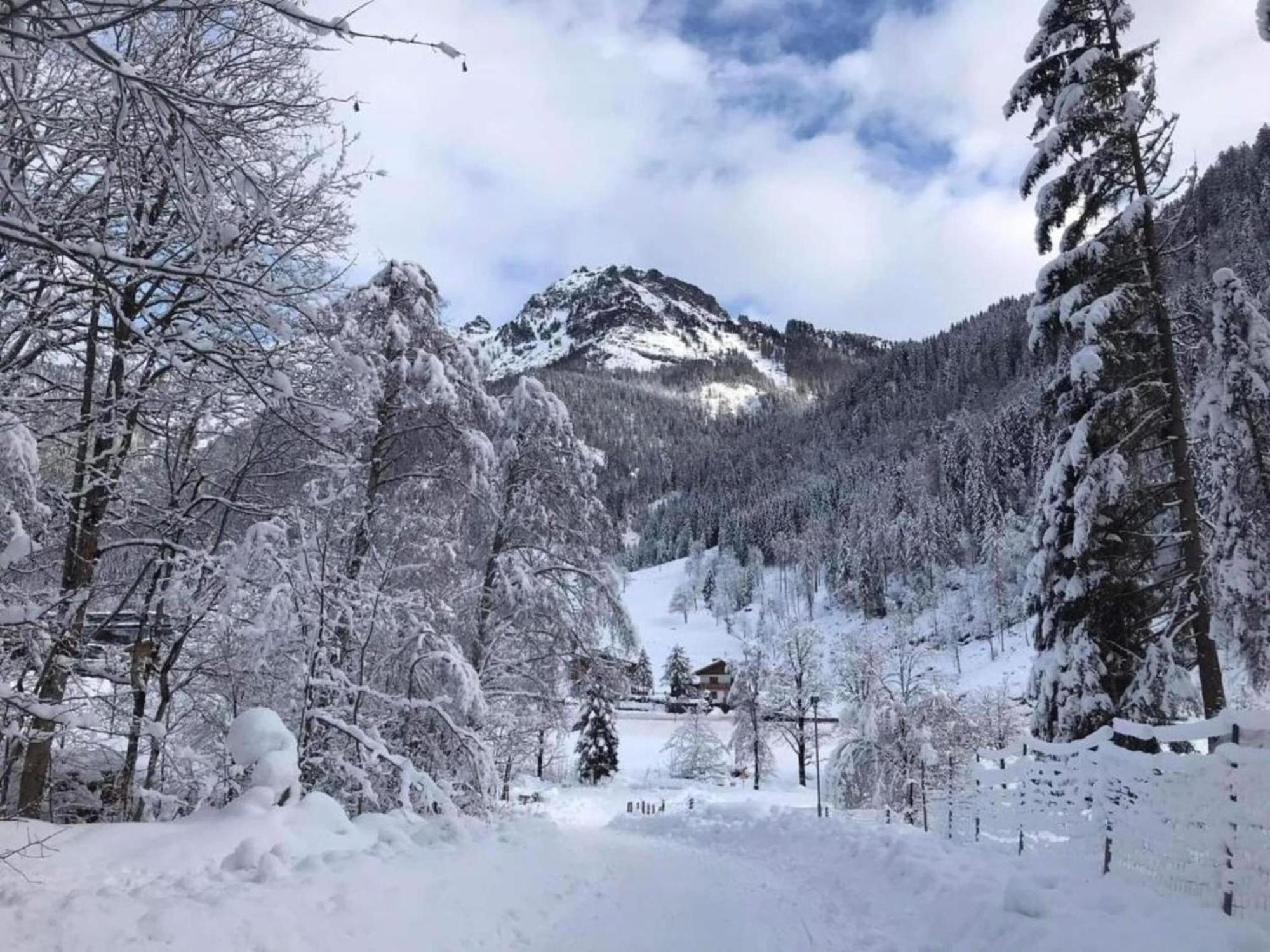 Spacious Apartment Near Ski Area In Mittersill Esterno foto